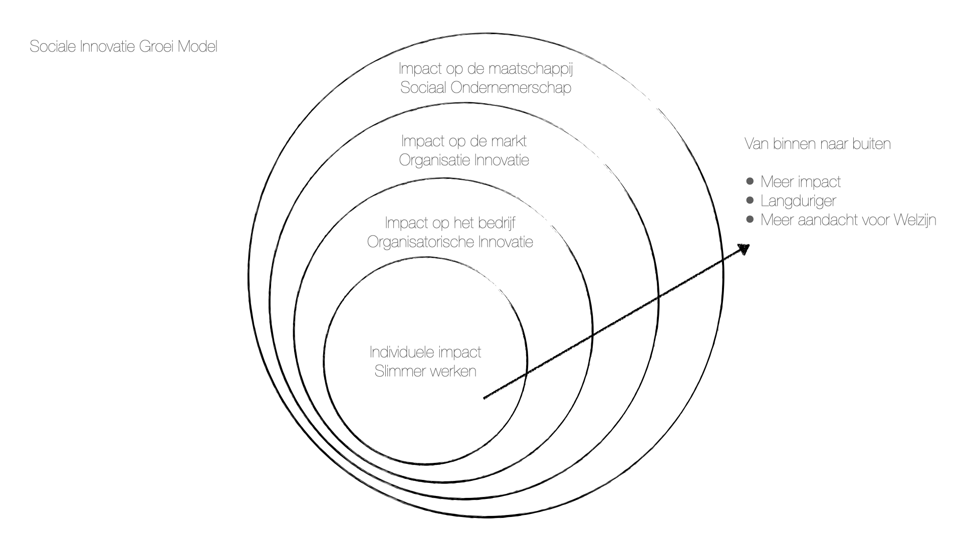 sociale innovatie groei model